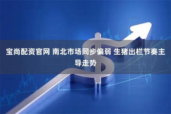 宝尚配资官网 南北市场同步偏弱 生猪出栏节奏主导走势