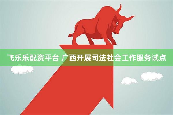 飞乐乐配资平台 广西开展司法社会工作服务试点